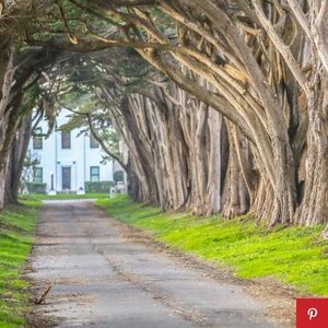 Meet your Posher, Jim